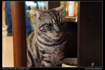 DSC00796