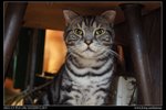 DSC00798