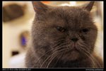 DSC00807