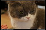 DSC00809