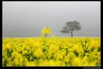 IMG_5837