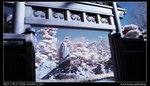 DSC00124