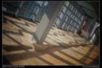 DSC00443