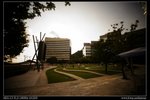 DSC00456