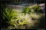 DSC00458