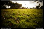 DSC00473
