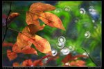 IMG_8881