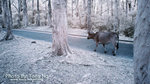 DSC00110