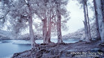 DSC00116
