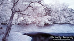 DSC00117