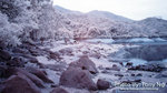 DSC00121