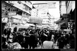 DSC03141