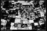 DSC03147