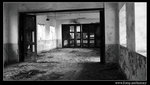 IMG_8101-