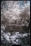 DSC00057