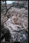 DSC00058