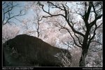 DSC00061