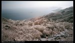 DSC00062
