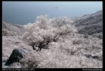 DSC00064