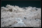 DSC00065