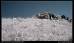 DSC00067