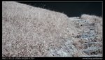 DSC00072