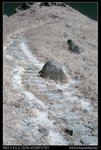 DSC00074