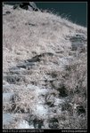 DSC00075