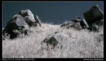 DSC00076