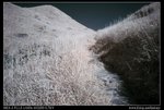 DSC00079