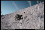 DSC00081