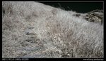 DSC00082