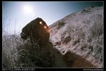 DSC00088