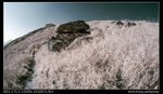 DSC00091
