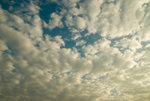 DSC_2945_1