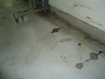 DSC04508