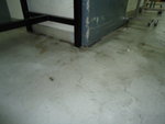 DSC04509