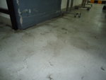 DSC04510