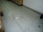DSC04515