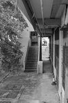 CSC_0156