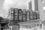 CSC_0177