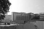 CSC_0178