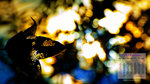 01YIP_6689 new2 169 WP