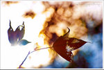 YIP_6681 new3
