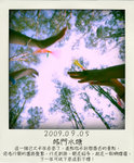 20090905_YIP_2379-pola