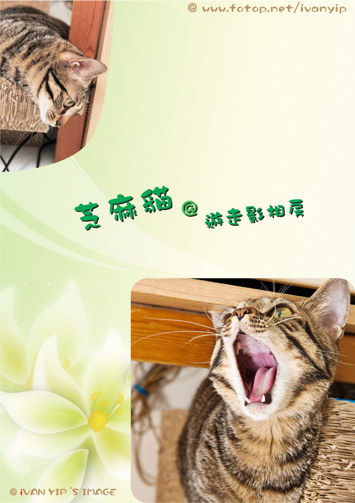 �۳¿߹C���v�۩�