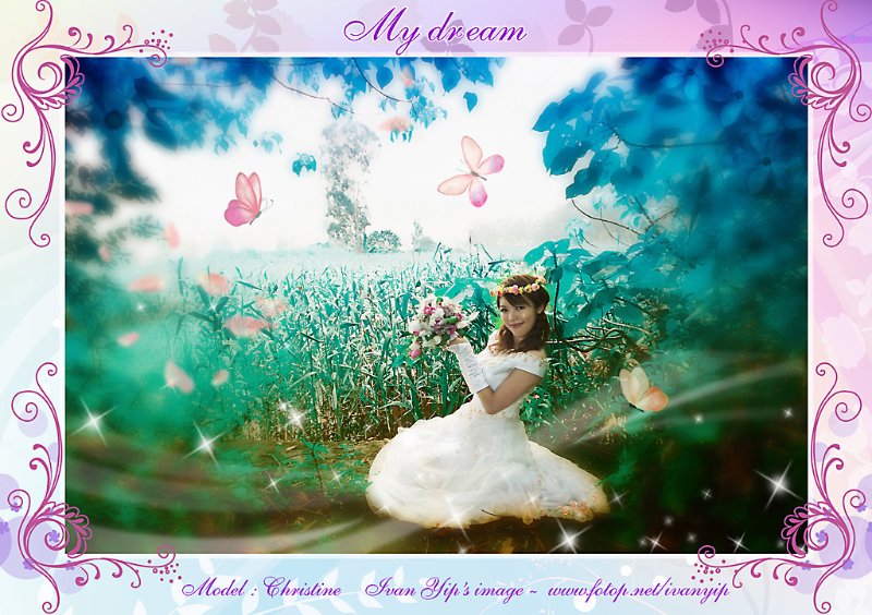 My Dream