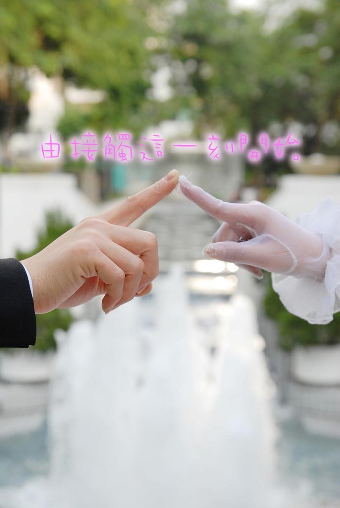 Harry X Christy Wedding Day