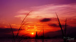 DSC00778 new2web