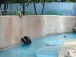 DSC06536
